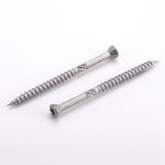 Torx platkop houtskroef