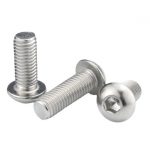 SS Pan Socket Head Bout